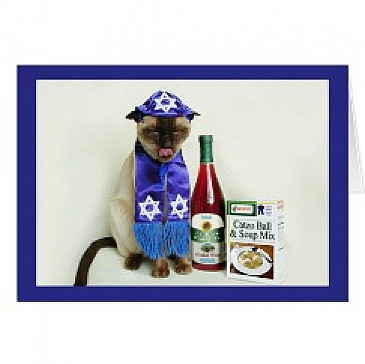 A Family Passover Hagaddah with a Twist of Modern and Liberal for Flavor