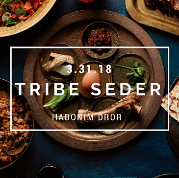 Embodiment & Liberation