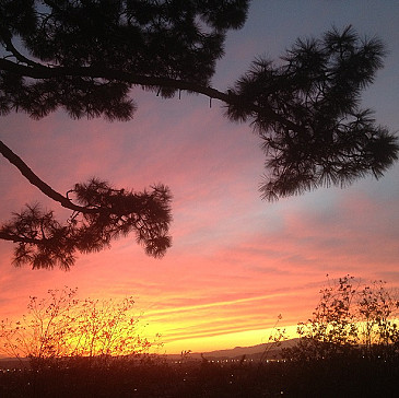 Left Coast Family Seder
