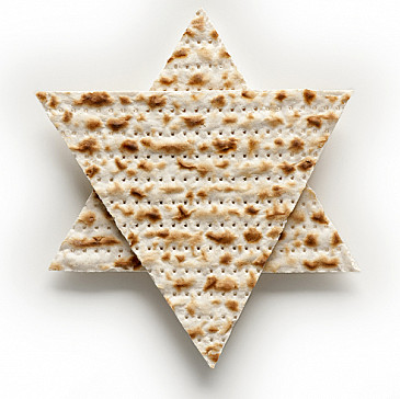 Freedman-Fernandez Pesach