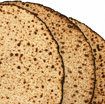 Eileen's 2019 Haggadah