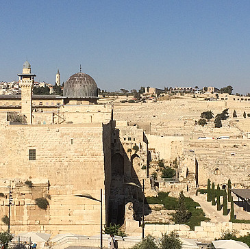 Mannes Geffen Seder 2019 / 5779