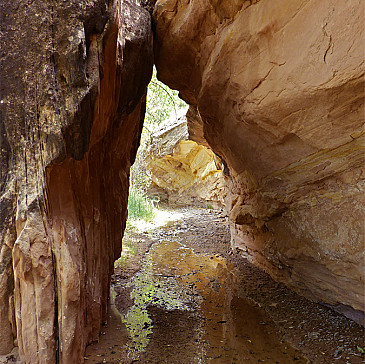 Coming Out Of The Narrow Place