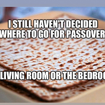 Freedom's Journey Haggadah