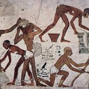 Haggadah in Crazy Times