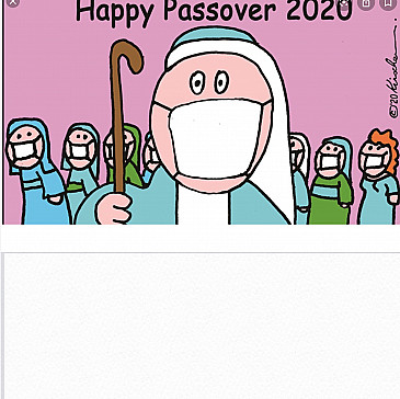 Levy/Rocklin Family Seder 2020