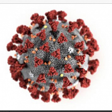 The Spiegel/Knobel Family Haggadah 5780/2020