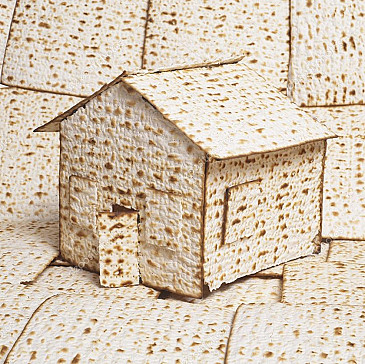 Mishpucha Seder 2020