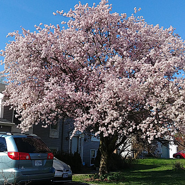 2020 Passover Haggadah