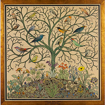 Landscapes in a Narrow Place