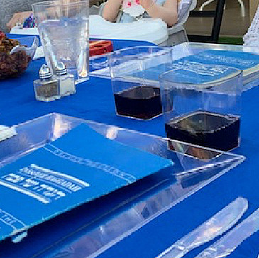 The Dreiseszun Friends and Family Haggadah, 2020