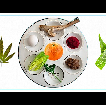 Cannabis in the time of COVID Hagaddah