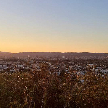 Levine Grater Family Haggadah Supplement 2021