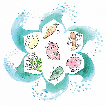 Passover Meditation Guide