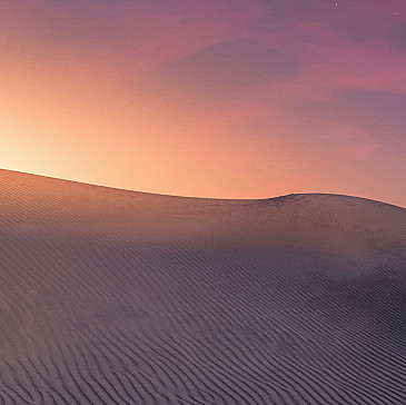 DELETE FreeFish Haggadah 2022 draft