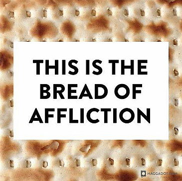 NEW Best Haggadah Ever