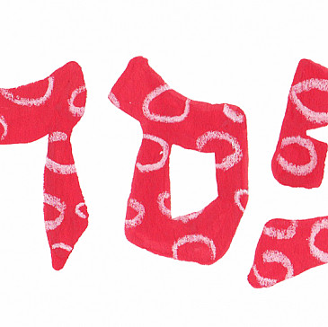 Our Favorites For Families