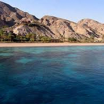 Avidor Haggadah 2015