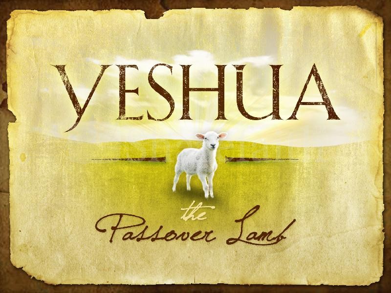 Passover Haggadah
