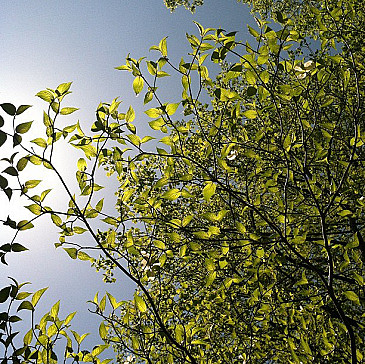 Karen's New Haggadah