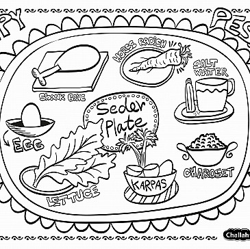 The Agronin Passover Experience