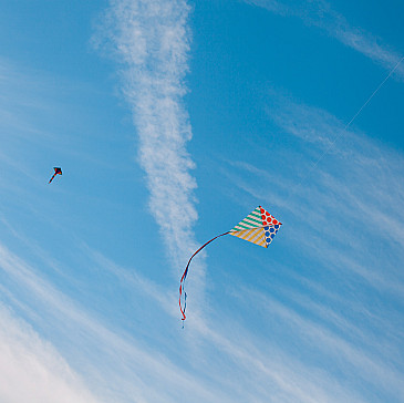 The Gordon Family Passover Haggadah