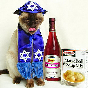 Korbel Krew Haggadah