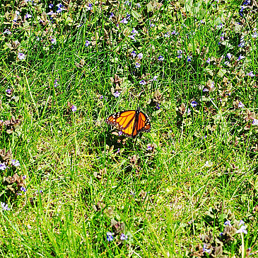 The Story We Tell....