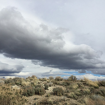 Sierra Canyon Haggadah