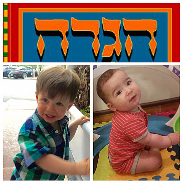 Appelbaum Family Haggadah- We are growing