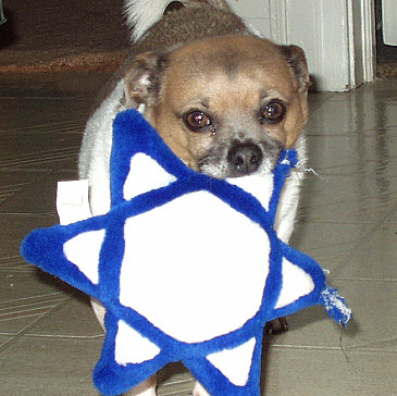 Becky's Family Haggadah