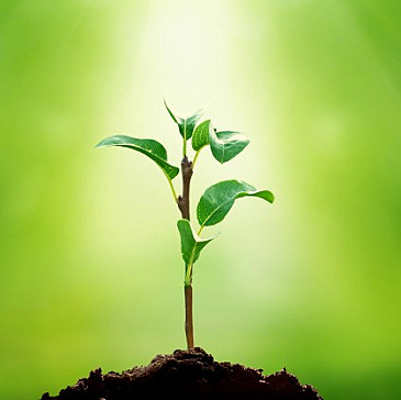 A Haggadah for a Convert and an Atheist