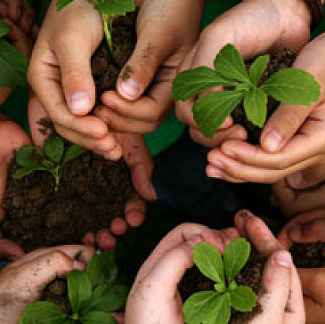 Let's Start Anew - A Haggadah of Creation