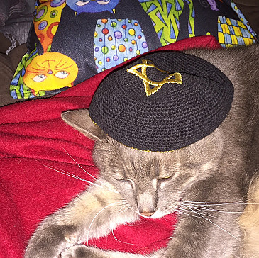 PESACH ACCORDING TO BARRY