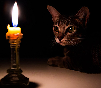 Lighting of the Passover Candles
