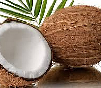 The Coconut on the Sedar Plate