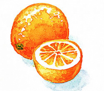 Dispelling the Urban Myth of the Orange on the Seder Plate