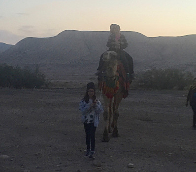 Wandering the Desert....