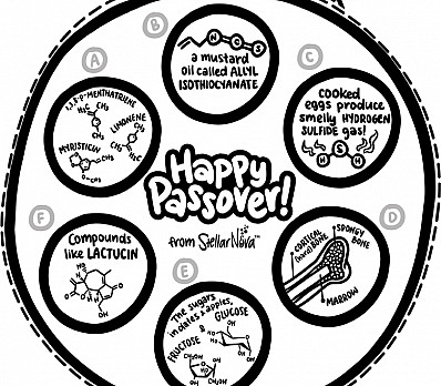 Science Seder Plate