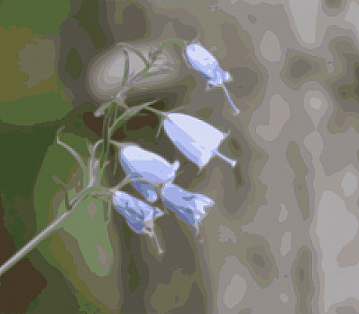 Song of Songs 2:10-12