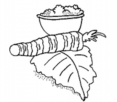 Maror Coloring Page