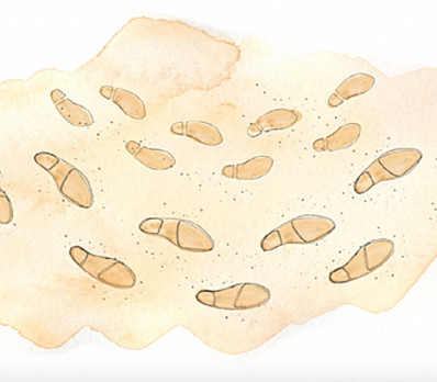 Kavannah for opening the door for Elijah