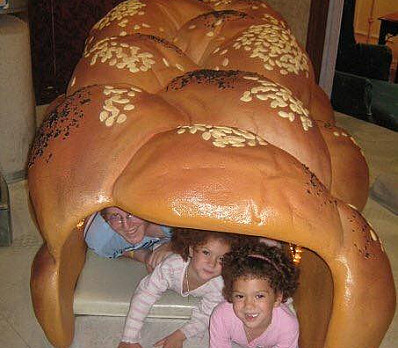 Searching for Chametz