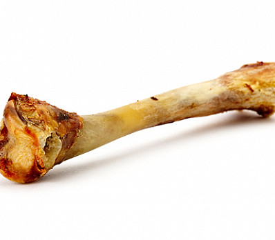 Passover Symbols- Pesach