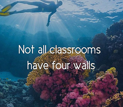 Tze Ulmad – Go out and learn By Natalie Gerber