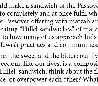 The Hillel Sandwich