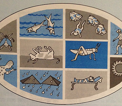 10 Plagues Image - Maxwell House