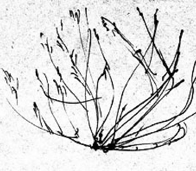 Poem-By Creating Light