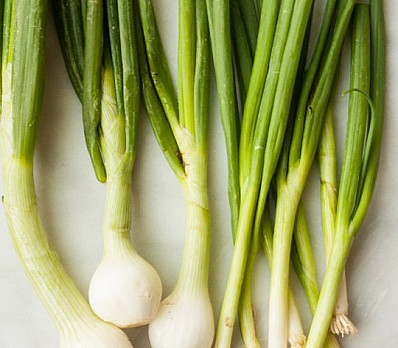 The Persian Dayeinu Tradition