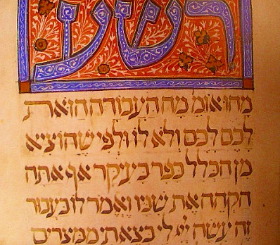 4 Children Rasha Sarajevo